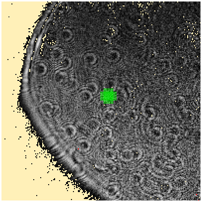 _images/Image-with-Temp-ROI-Pixels.png