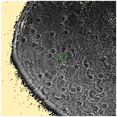 _images/Image-with-Temp-ROI.png