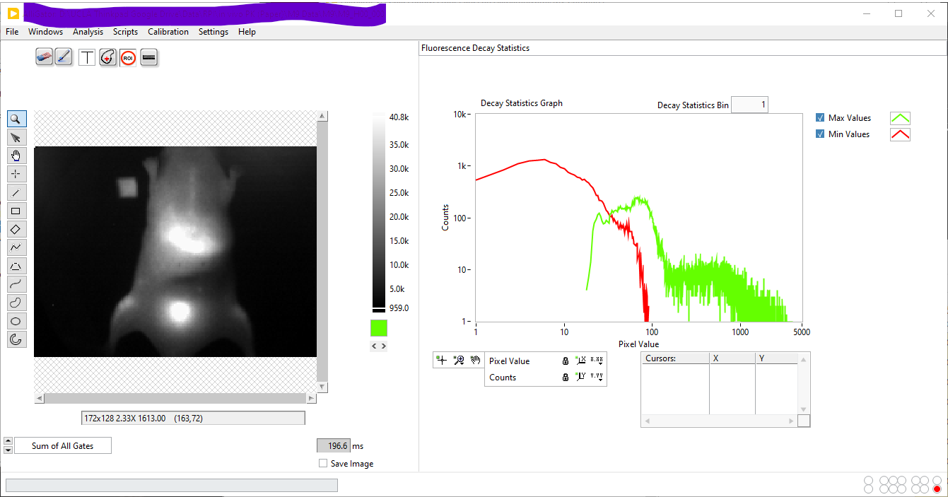 _images/AlliGator-Decay-Statistics-Histogram.png