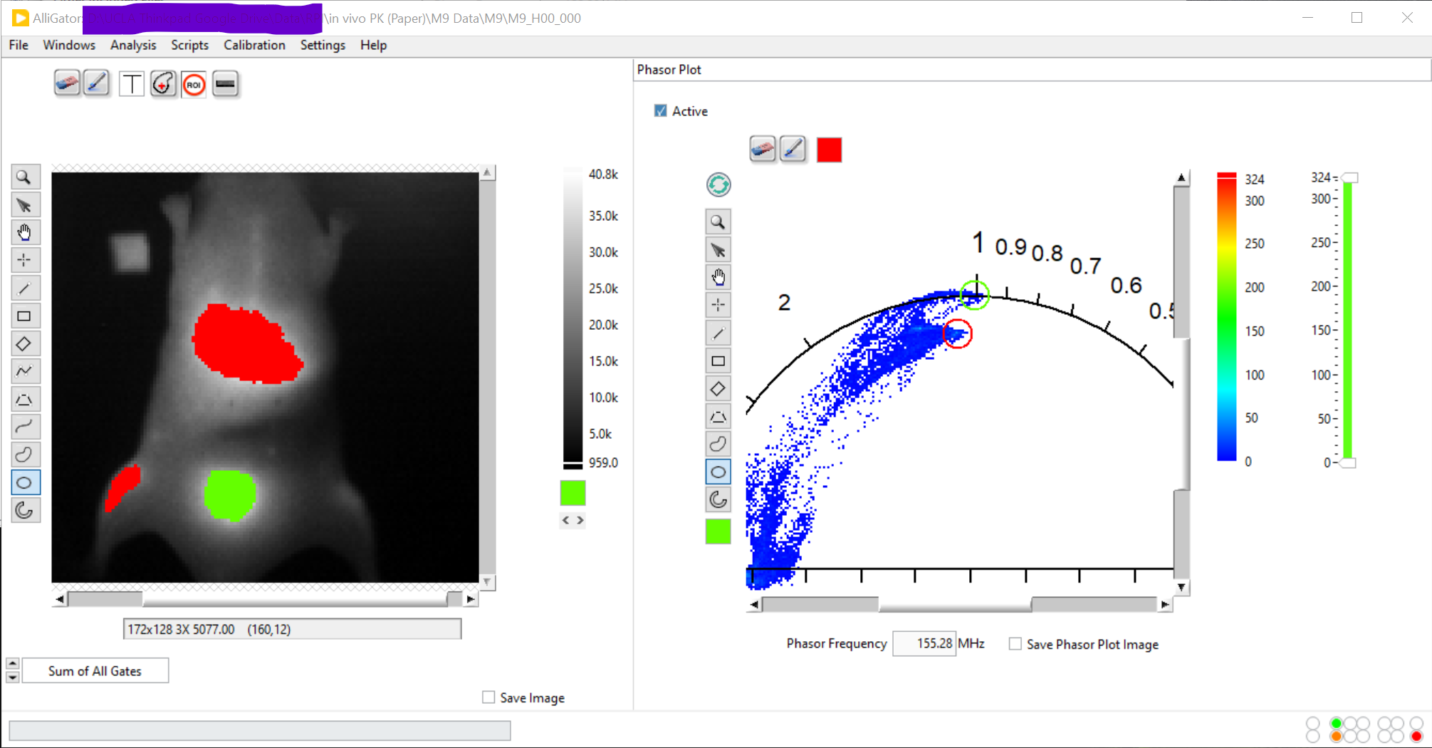 _images/AlliGator-Phasor-Plot-ROI-Highlighting.png