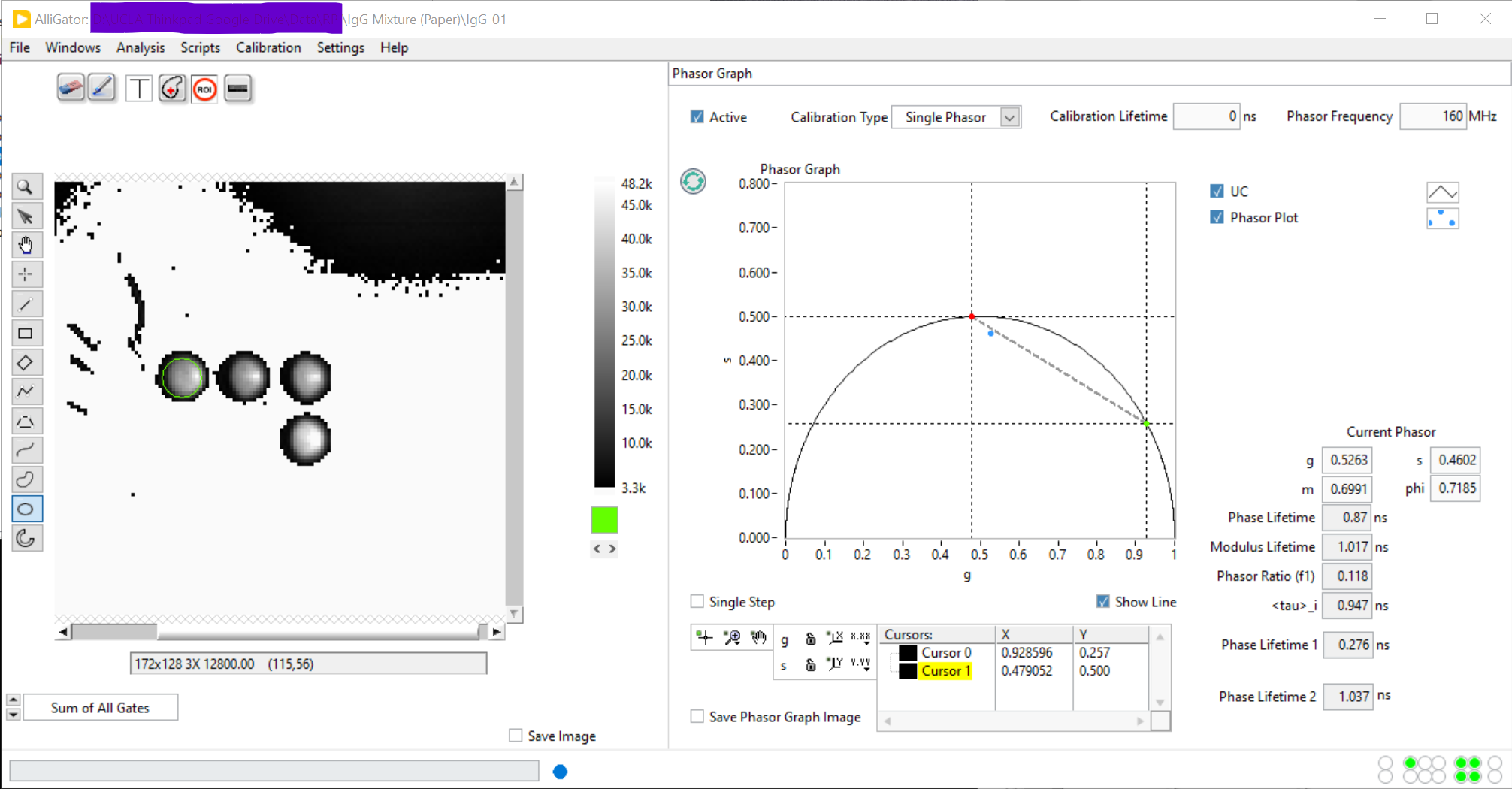 _images/AlliGator-Phasor-Ratio-Example.png